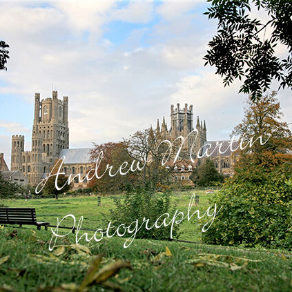 Prints of Ely and Beyond